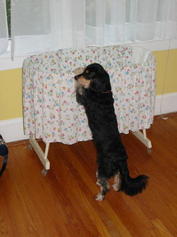 Maddie at crib